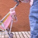 8412497401529-841249740152_01